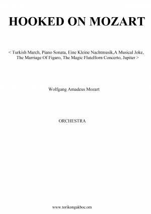 Hooked On Mozart - Orchestra
