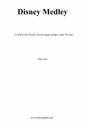 Disney medley - Flute Solo + Mr