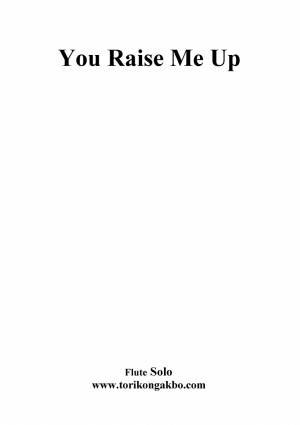 You Raise Me Up - Flute Solo + Mr